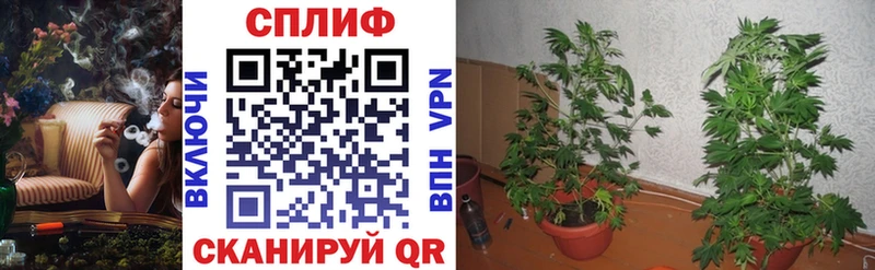 Купить закладки  Миллерово  Каннабис MAZAR 